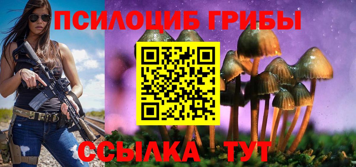 Псилоцибиновые грибы MAGIC MUSHROOMS  Вход с VPN  Муравленко 