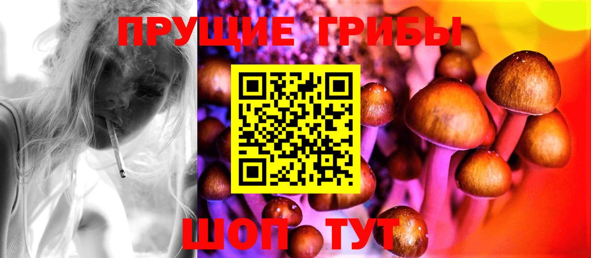 Галлюциногенные грибы Magic Shrooms Муравленко