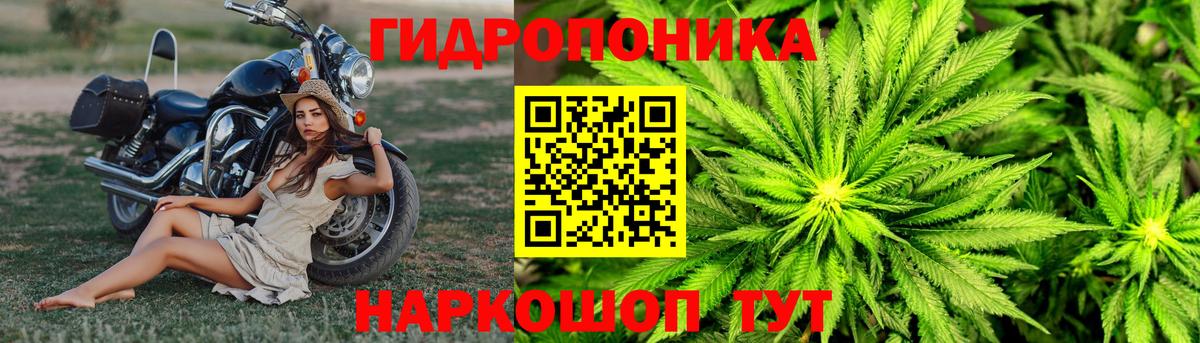 Шишки марихуана тримм  Вход с VPN  Канабис тримм  Муравленко  Конопля Ganja  Канабис AK-47 